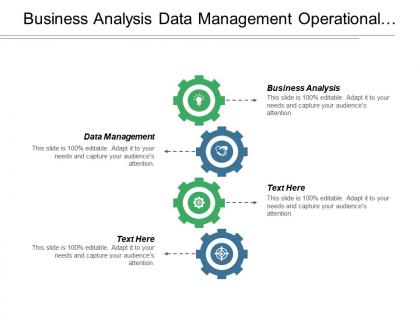 Business analysis data management operational risk risk management cpb
