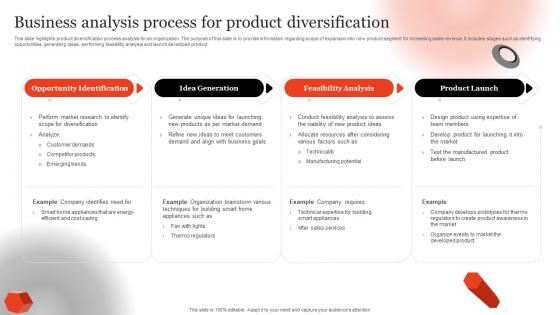 Business Analysis Process For Product Diversification