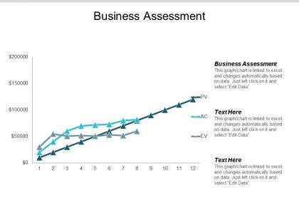 Business assessment ppt powerpoint presentation infographics infographic template cpb