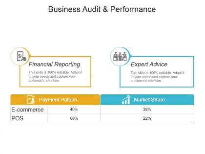 Business audit and performance sample of ppt presentation