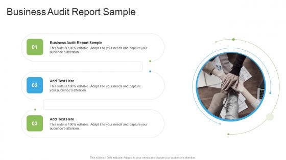 Business Audit Report Sample In Powerpoint And Google Slides Cpb