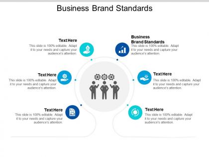 Business brand standards ppt powerpoint presentation file designs download cpb