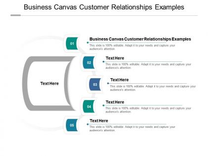 Business canvas customer relationships examples ppt powerpoint presentation layouts model cpb