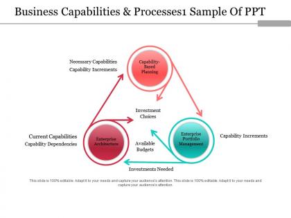 Business capabilities and processes sample of ppt