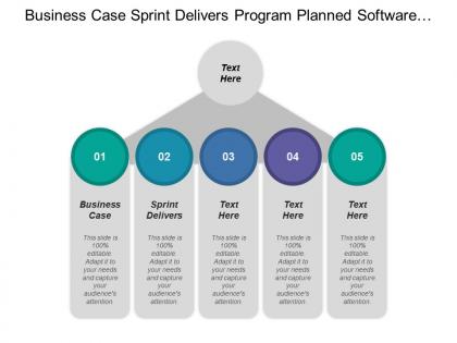 Business case sprint delivers program planned software program