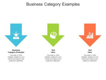 Business category examples ppt powerpoint presentation model pictures cpb