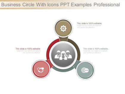 Business circle with icons ppt examples professional