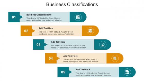 Business Classifications Ppt Powerpoint Presentation Inspiration Layouts Cpb