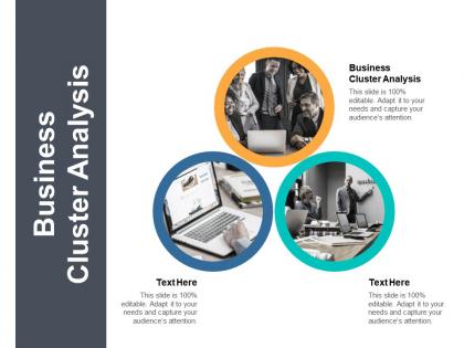 Business cluster analysis ppt powerpoint presentation gallery icon cpb