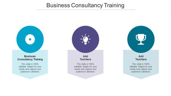 Business Consultancy Training Ppt Powerpoint Presentation Layouts Sample Cpb