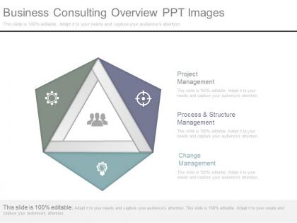 Business consulting overview ppt images