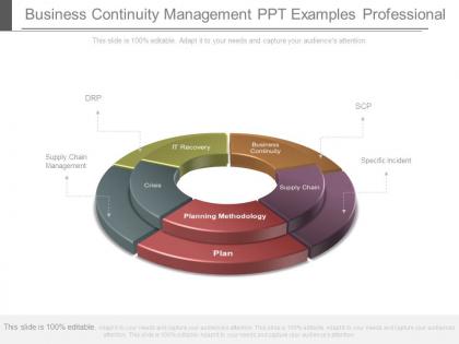 Business continuity management ppt examples professional