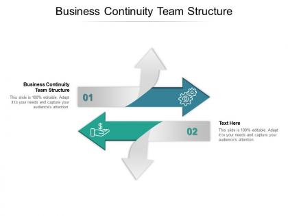 Business continuity team structure ppt powerpoint presentation icon example introduction cpb