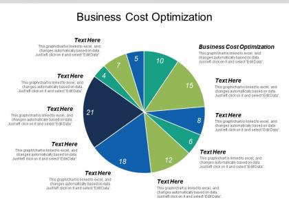 Business cost optimization ppt powerpoint presentation file professional cpb