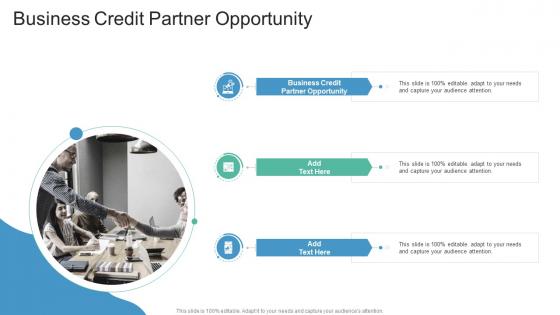 Business Credit Partner Opportunity In Powerpoint And Google Slides Cpb