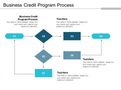 Business credit program process ppt powerpoint presentation gallery outline cpb