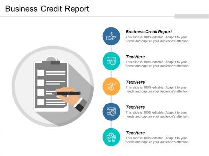 Business credit report ppt powerpoint presentation model outfit cpb