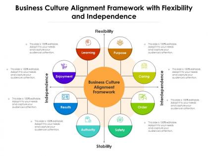 Business culture alignment framework with flexibility and independence