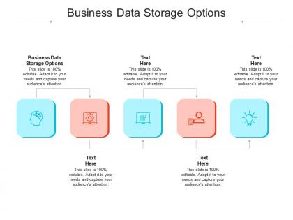Business data storage options ppt powerpoint presentation file show cpb