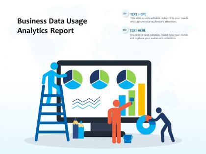 Business data usage analytics report