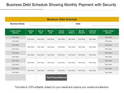 Business debt schedule showing monthly payment with security
