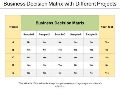 Business decision matrix with different projects
