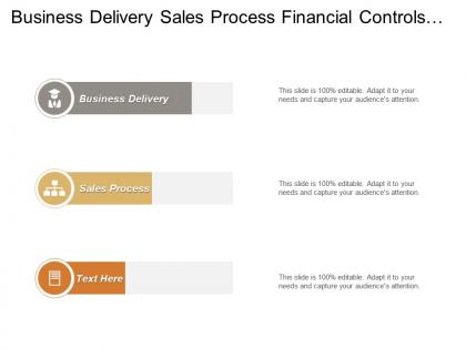 Business delivery sales process financial controls management business relationship