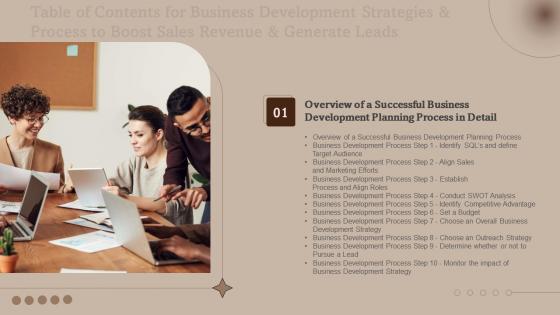 Business Development Business Development Strategies And Process Table Of Contents