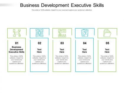 Business development executive skills ppt powerpoint presentation ideas cpb