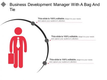 Business development manager with a bag and tie