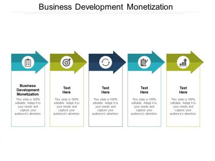 Business development monetization ppt powerpoint presentation professional format cpb