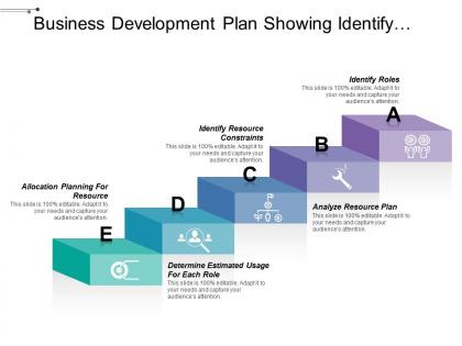 Business development plan showing identify roles and resource constraints