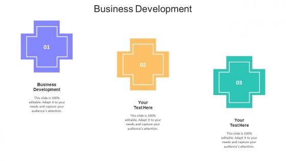 Business Development Ppt Powerpoint Presentation Layouts Slideshow Cpb