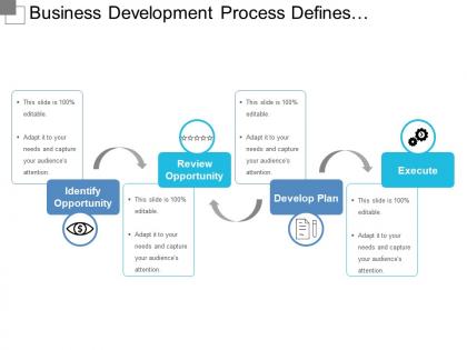 Business development process defines opportunity review and plan