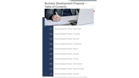 Business Development Proposal Table Of Contents One Pager Sample Example Document