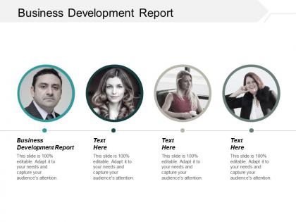 Business development report ppt powerpoint presentation ideas graphic tips cpb