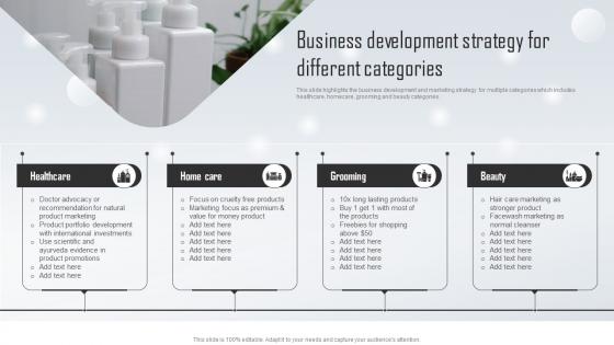 Business Development Strategy For Household And Personal Products Company Profile