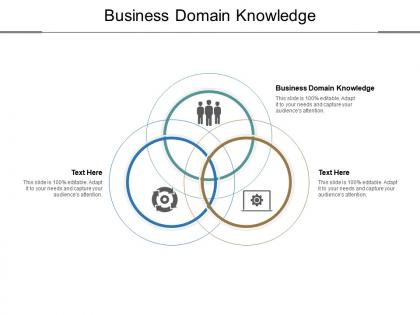 Business domain knowledge ppt powerpoint presentation professional graphics cpb