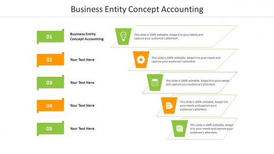 Business entity concept accounting ppt powerpoint presentation pictures guide cpb