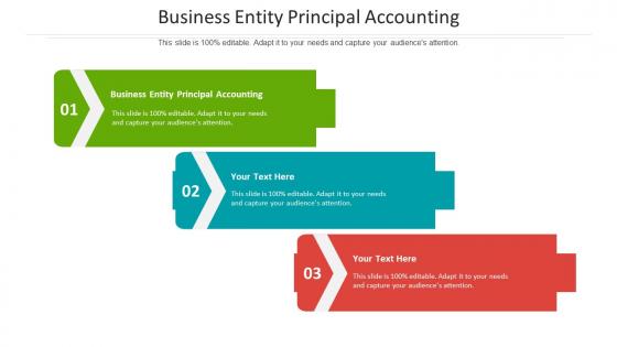 Business entity principal accounting ppt powerpoint presentation infographic template graphics design cpb