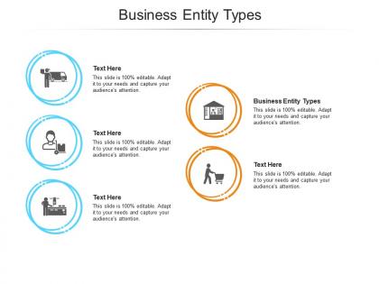Business entity types ppt powerpoint presentation model graphics pictures cpb