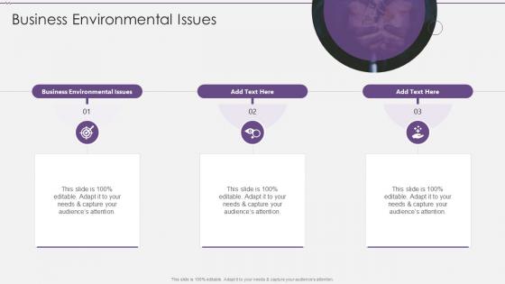 Business Environmental Issues In Powerpoint And Google Slides Cpb