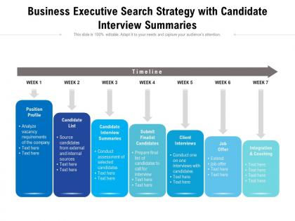 Business executive search strategy with candidate interview summaries