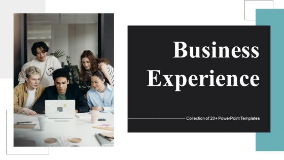 Business Experience Powerpoint Ppt Template Bundles