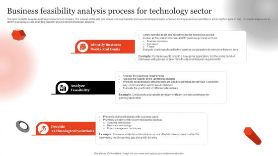 Business Feasibility Analysis Process For Technology Sector