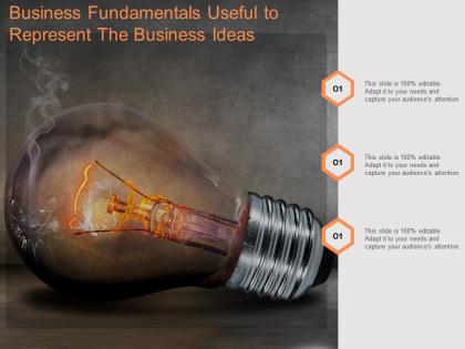Business fundamentals useful to represent the business ideas