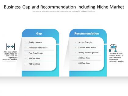 Business gap and recommendation including niche market