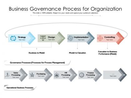 Business governance process for organization