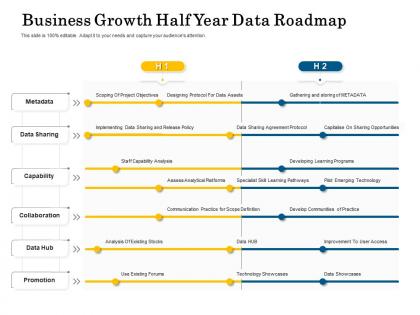 Business growth half year data roadmap
