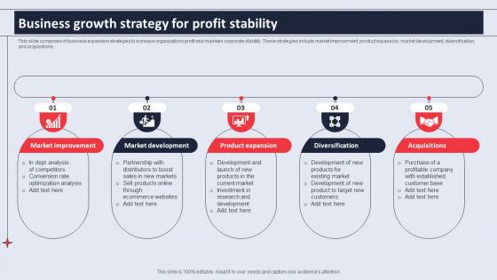 Business Growth Strategy For Profit Stability
